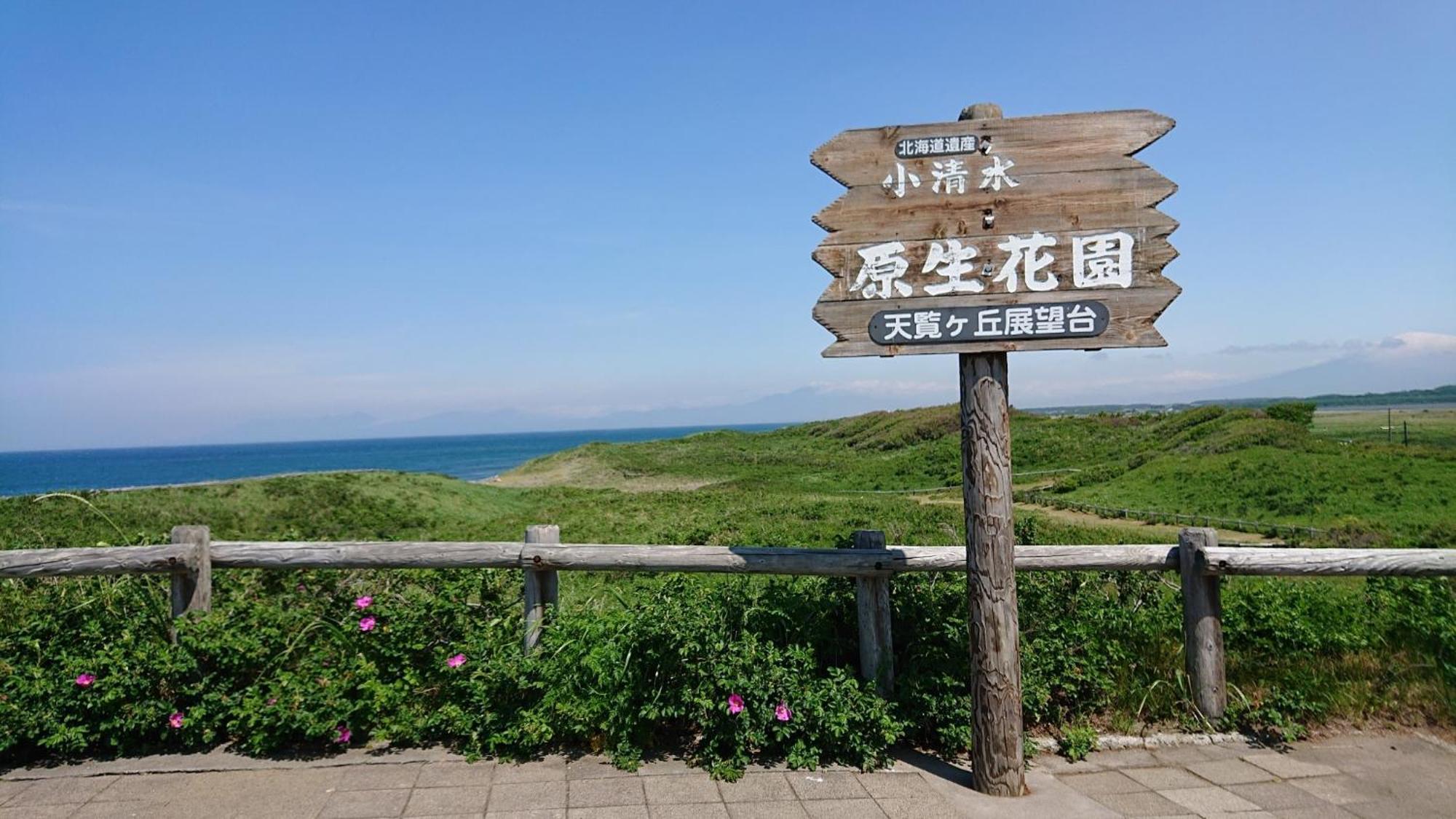 別荘 Sea Side / Vacation 1785 *